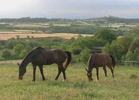 Granja Ecuestre Sort Bascara